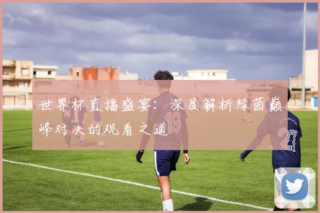 世界杯直播盛宴：深度解析绿茵巅峰对决的观看之道