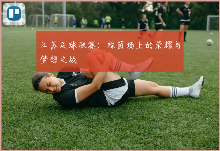 江苏足球联赛：绿茵场上的荣耀与梦想之战